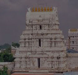 One Day Tirupati Tour Packages